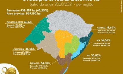 Semeadura do arroz no RS alcança 45,25%, aponta levantamento do Irga