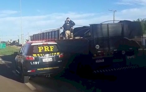 VÍDEO: PRF apreende carga milionária na BR-290