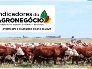 Com redução nas vendas de soja e fumo, exportações do agronegócio gaúcho registram queda