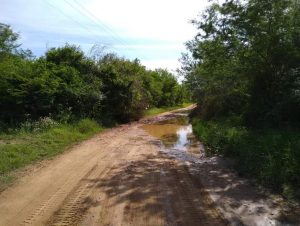 Alagamentos tomam conta da estrada do Botucaraí