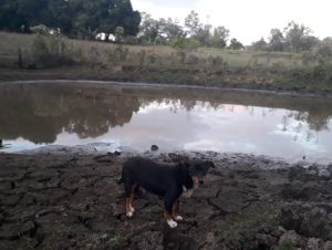 Interior sofre cada vez mais com a estiagem