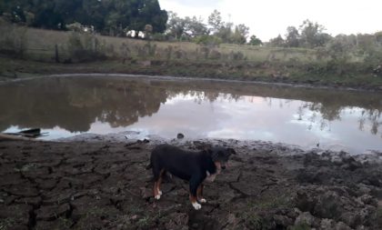 Interior sofre cada vez mais com a estiagem