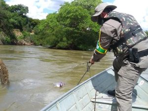 2º BABM combate pesca ilegal e crimes contra a fauna