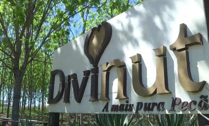 Divinut abre vaga de emprego