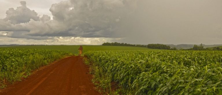 La Niña deve continuar no verão e aumento de chuva é esperado no RS