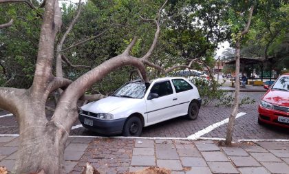 Árvore atinge carro estacionado na Praça Honorato