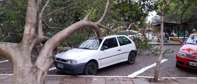 Árvore atinge carro estacionado na Praça Honorato