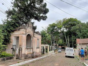 Queda de árvore suspende visitas ao Zoológico