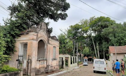 Queda de árvore suspende visitas ao Zoológico