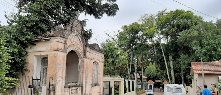 Queda de árvore suspende visitas ao Zoológico