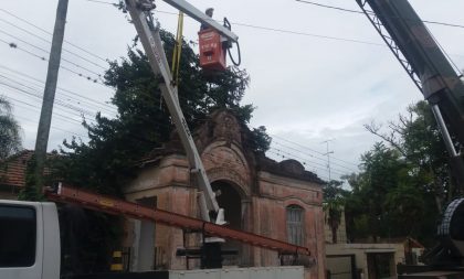 Força-tarefa retira árvore que caiu sobre uma casa no centro