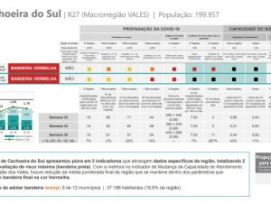 Covid-19: estudo projeta mais 13 mortes na 1ª semana de 2021