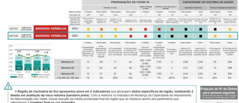 Covid-19: estudo projeta mais 13 mortes na 1ª semana de 2021