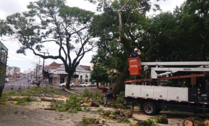 Meio Ambiente intensifica corte de árvores em situação de risco