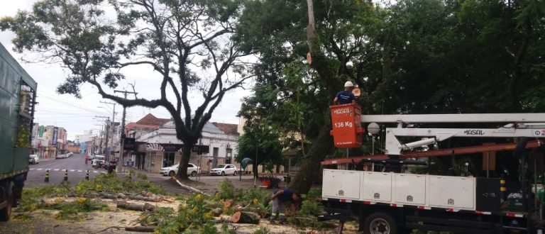 Meio Ambiente intensifica corte de árvores em situação de risco