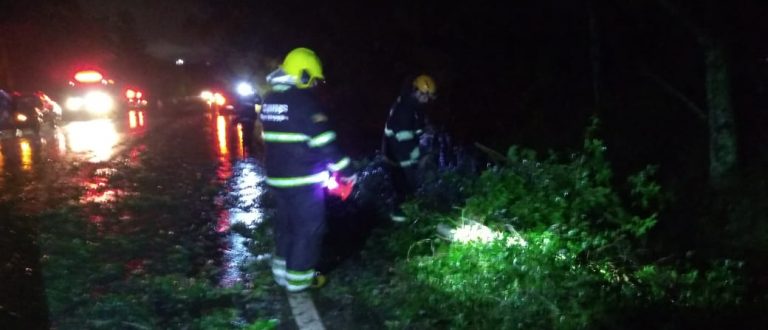 Chuva causa danos na cidade e provoca acidente na BR-153