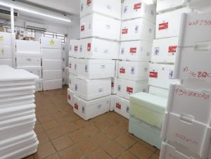 Vacina contra Covid: Cachoeira aplicou 86% das primeiras doses recebidas