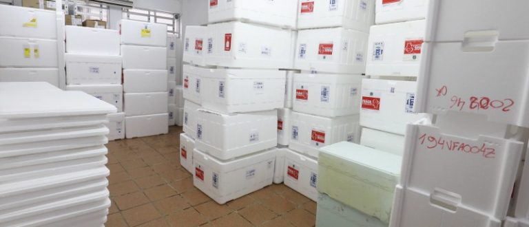 Vacina contra Covid: Cachoeira aplicou 86% das primeiras doses recebidas