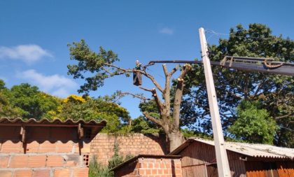 Secretaria e Batalhão retomam corte de árvores no Cristo Rei