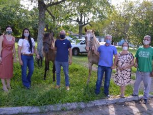 Cempra doa sete cavalos recuperados de maus-tratos