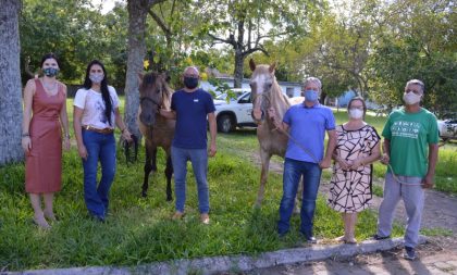 Cempra doa sete cavalos recuperados de maus-tratos