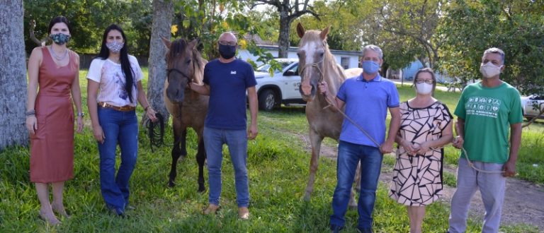 Cempra doa sete cavalos recuperados de maus-tratos