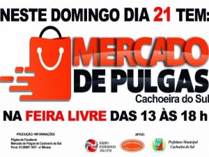 Domingo de Mercado de Pulgas na Feira Livre