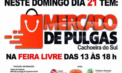 Domingo de Mercado de Pulgas na Feira Livre