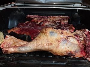 BM apreende carne bovina sem procedência