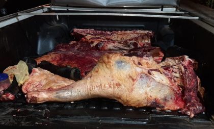 BM apreende carne bovina sem procedência