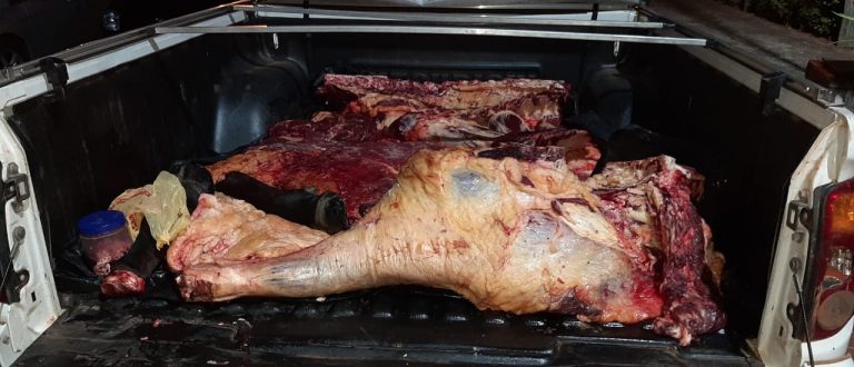 BM apreende carne bovina sem procedência