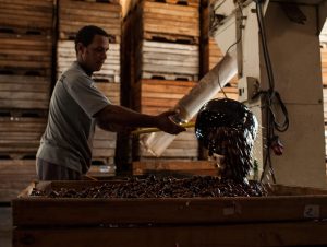 Sine divulga lista de selecionados para trabalho na Pecanita