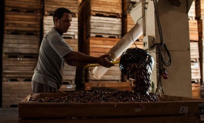 Sine divulga lista de selecionados para trabalho na Pecanita