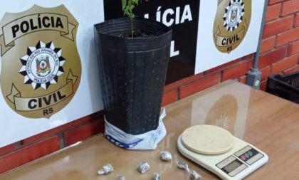 Até pé de maconha: Polícia detém homem no Oliveira