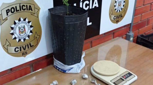 Até pé de maconha: Polícia detém homem no Oliveira