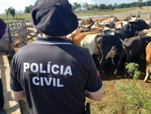 Vítima de abigeato recebe três animais de volta