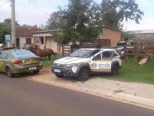 Fluxo intenso de caminhões aumenta perigo de animais soltos na Charqueada