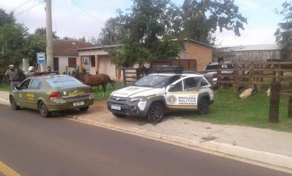 Fluxo intenso de caminhões aumenta perigo de animais soltos na Charqueada