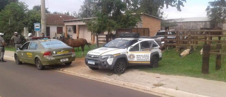 Fluxo intenso de caminhões aumenta perigo de animais soltos na Charqueada