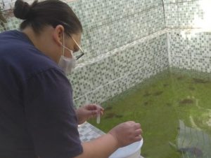 Dengue e Chikungunya em Cachoeira do Sul: óbito está em investigação