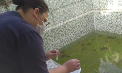 Dengue e Chikungunya em Cachoeira do Sul: óbito está em investigação