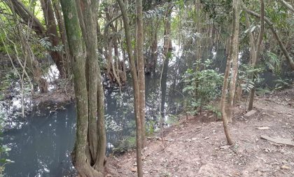 Moradores reclamam de esgoto a céu aberto na zona norte