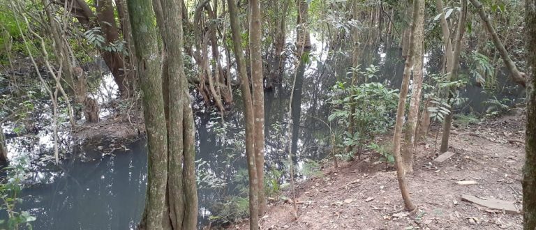 Moradores reclamam de esgoto a céu aberto na zona norte