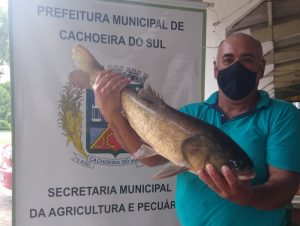 Feira do Peixe Vivo vendeu 3,8 toneladas de peixe