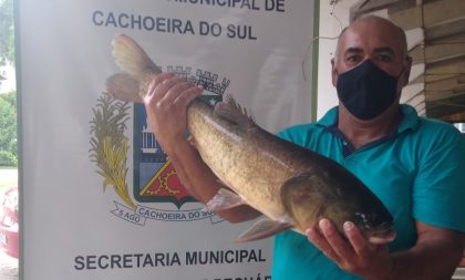 Feira do Peixe Vivo vendeu 3,8 toneladas de peixe