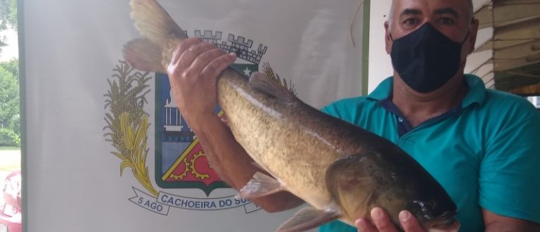 Feira do Peixe Vivo vendeu 3,8 toneladas de peixe