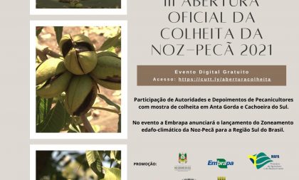 Abertura da Colheita da Noz Pecã será virtual