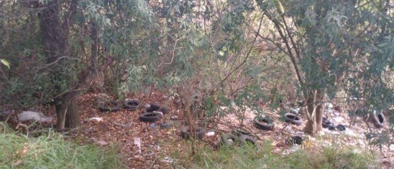 70 pneus descartados indevidamente são encontrados na Av. Marcelo Gama