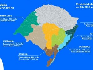 Soja em áreas de arroz cresceu 205% em dez anos