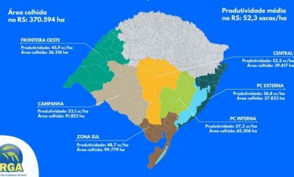 Soja em áreas de arroz cresceu 205% em dez anos